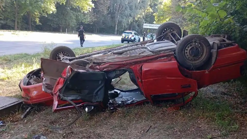 У Голованівському районі Toyota врізалася у стелу: пасажир помер, водія затримали