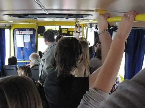 Міська рада Кропивницького боротиметься з перевізниками-монополістами фото 1