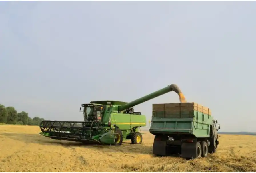 урожай пшениці 2025