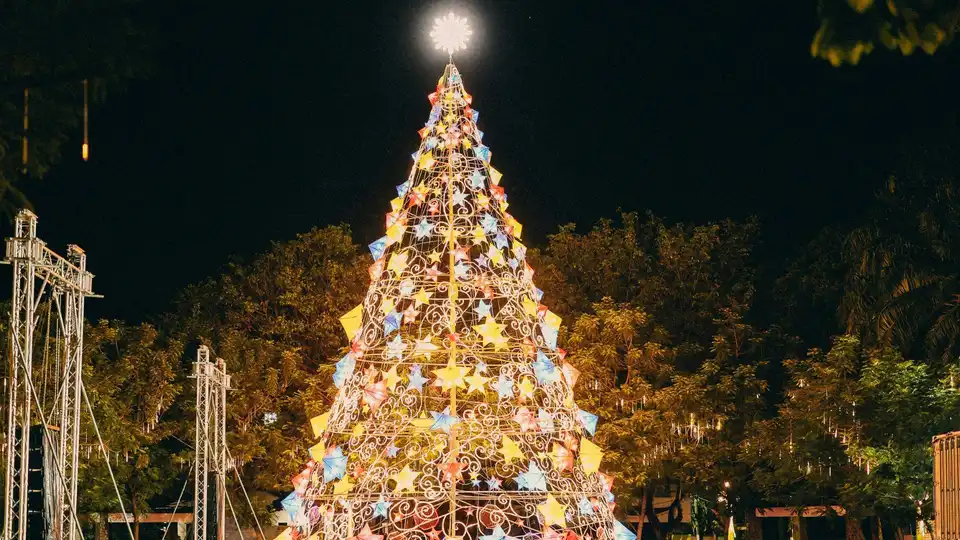 Ялинку на новорічні свята обирають у Голованівську  я: в селищі проводять опитування
