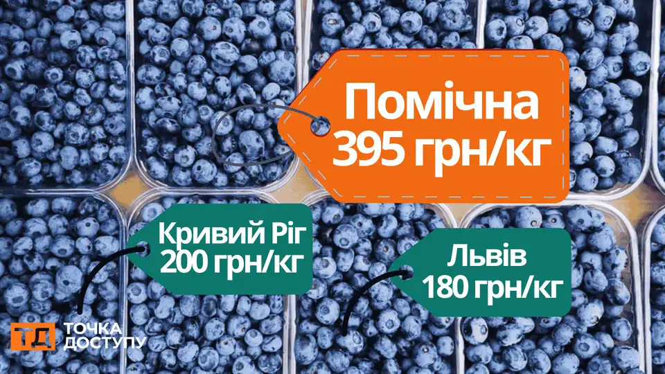У Помічній знову купують лохину за високою ціною