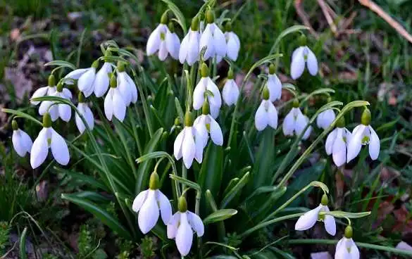 Синоптик розповіла, коли в Україну повернеться тепло