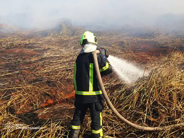 Чому Кропивницький затягнуло димом: у водоканалі прокоментували причини займання біля Первозванівки