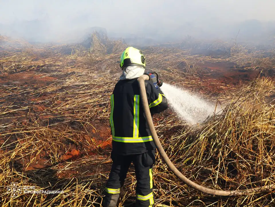 Чому Кропивницький затягнуло димом: у водоканалі прокоментували причини займання біля Первозванівки