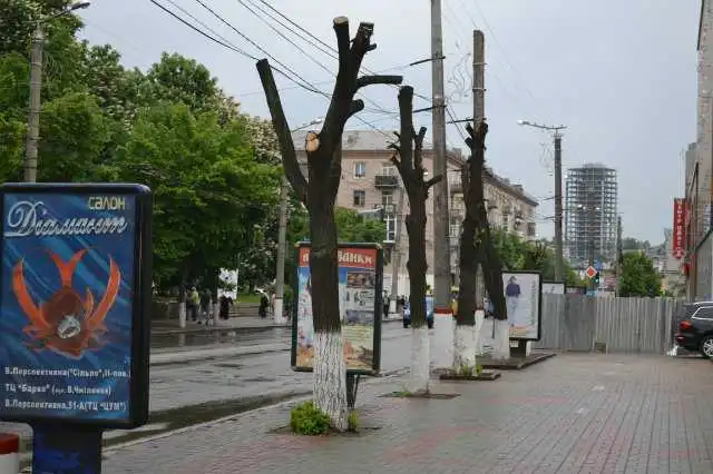 У Кіровограді дерева дивним чином "всихають" біля вивісок кафе та магазинів фото 1