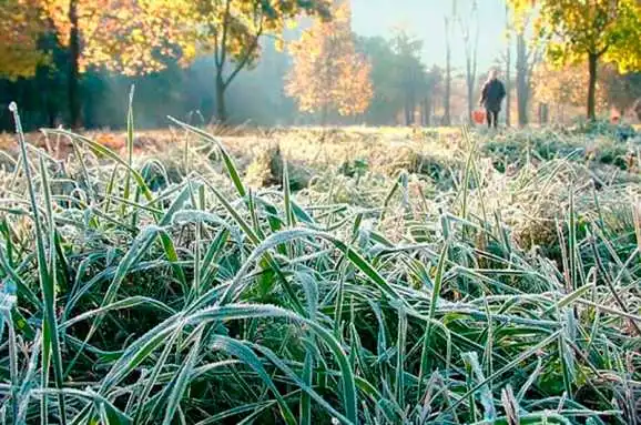 На Кіровоградщині цього тижня прогнозують похолодання та заморозки фото 1