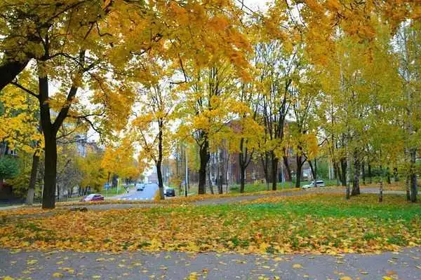 Синоптики спрогнозували погоду в Україні у жовтні