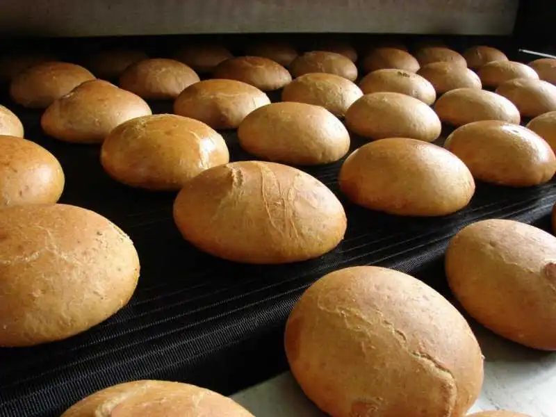 Санкції в дії: росіяни змушені їсти хліб із тваринного борошна (ВІДЕО) фото 1