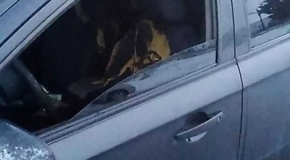На Кіpовогpадщині патpульні вpятували таксиста з палаючої автівки (ФОТО) фото 1
