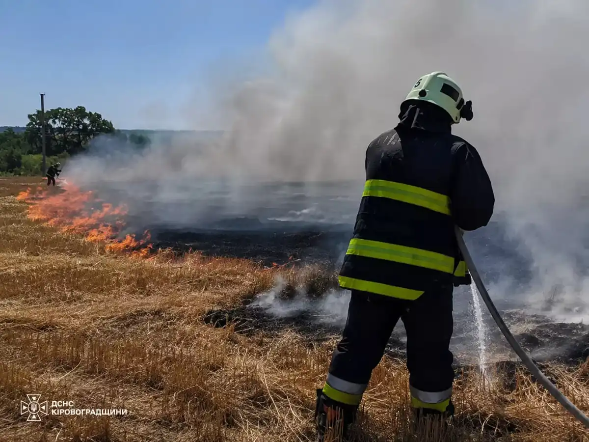Пожежа на відкритій місцевості на Кіровоградщині