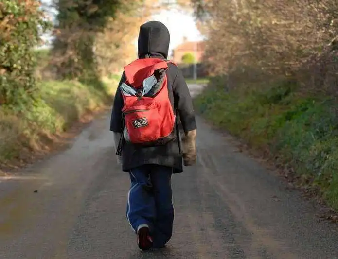 У Кропивницькому розшукали першокласниць, які зникли зі школи (ФОТО)