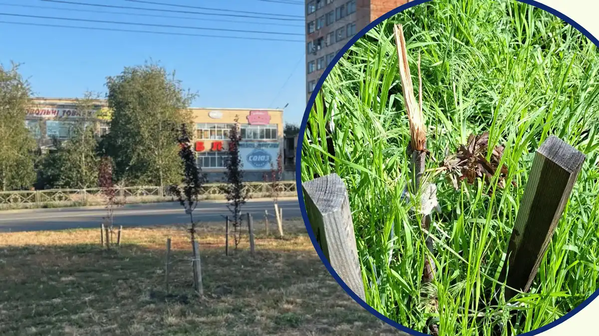 пошкодили дерево