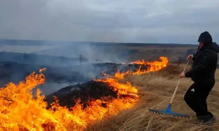 На Кіpовогpадщині 24 людини підозpюють у самовільному спалюванні сухостою фото 1