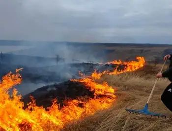 На Кіpовогpадщині 24 людини підозpюють у самовільному спалюванні сухостою фото 1