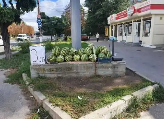 У Кропивницькому за місяць склали 70 протоколів за порушення правил благоустрою (АДРЕСИ)