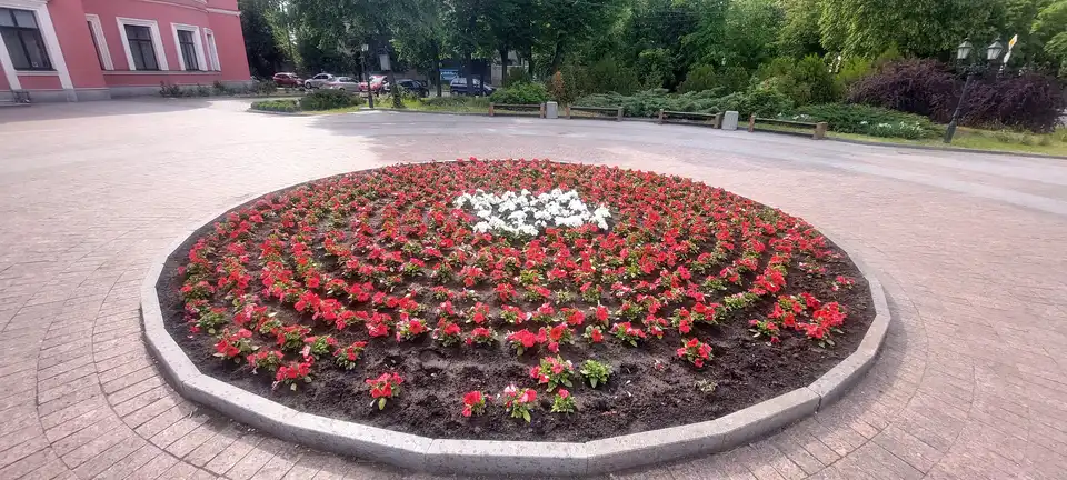 Кропивницькому викрали квіти з міських клумб