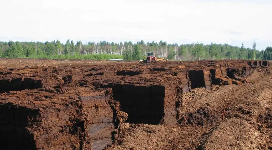 У Кабміні знайшли дешеву альтернативу газу для опалення фото 1