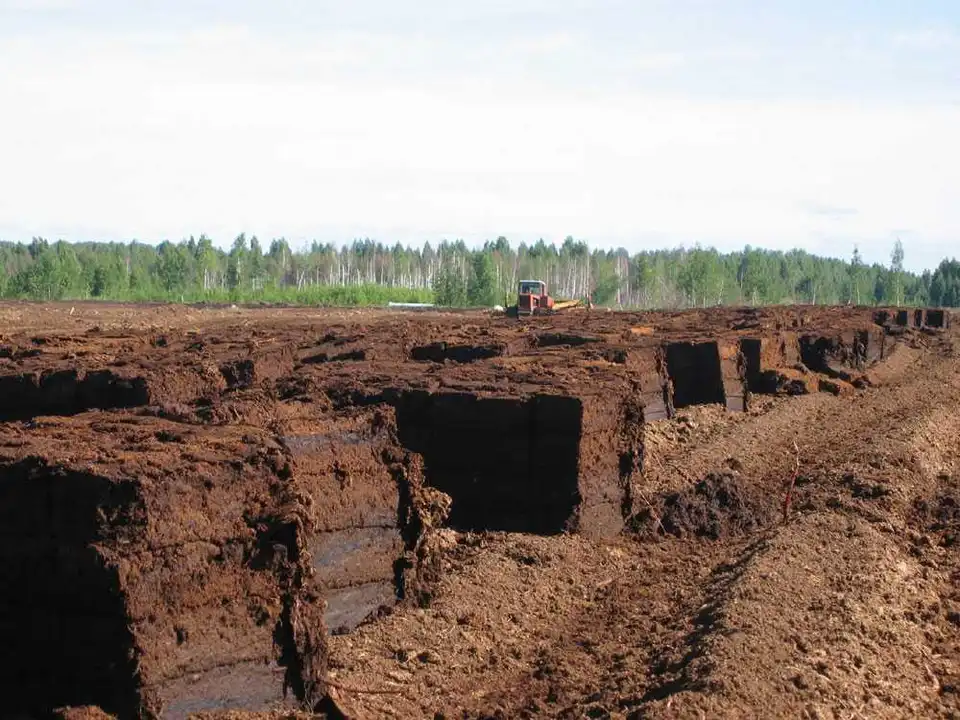 У Кабміні знайшли дешеву альтернативу газу для опалення