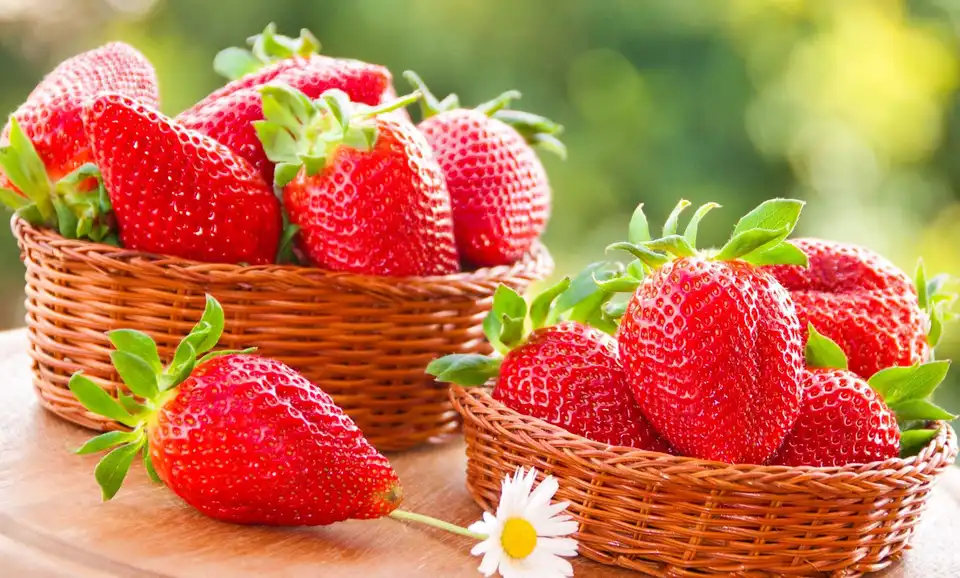 Жителям Кіровоградщини фахівці розповіли, як обрати якісну та свіжу полуницю