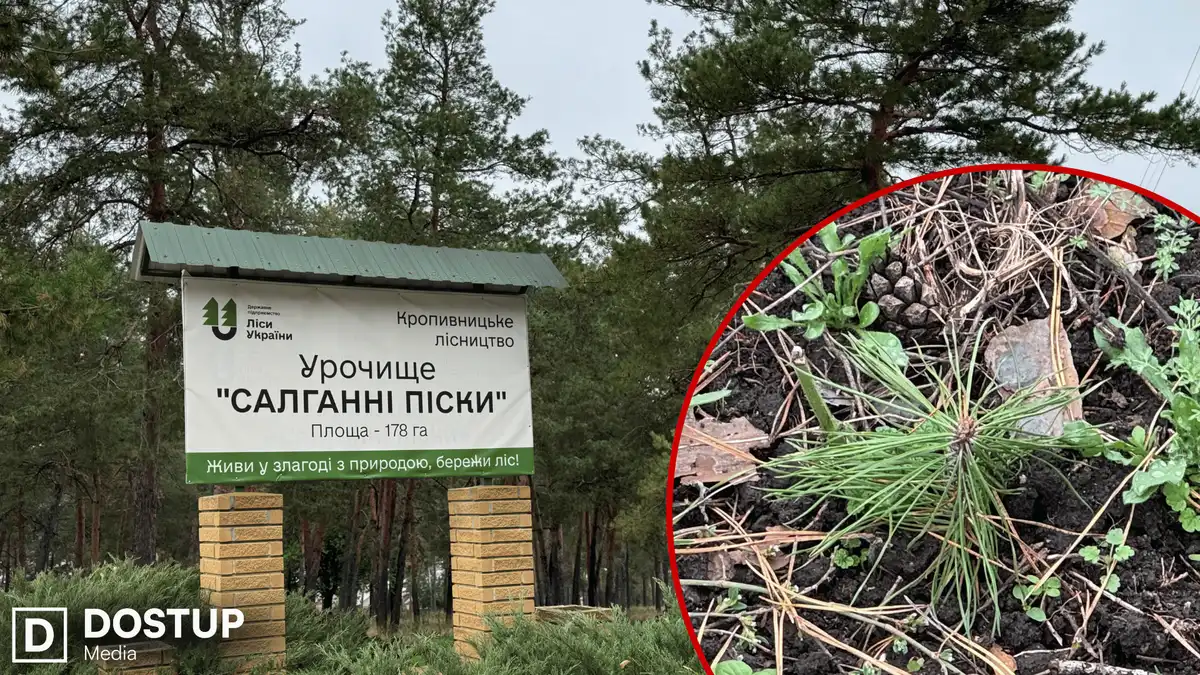 Урочище "Салганні піски" у Кропивницькому