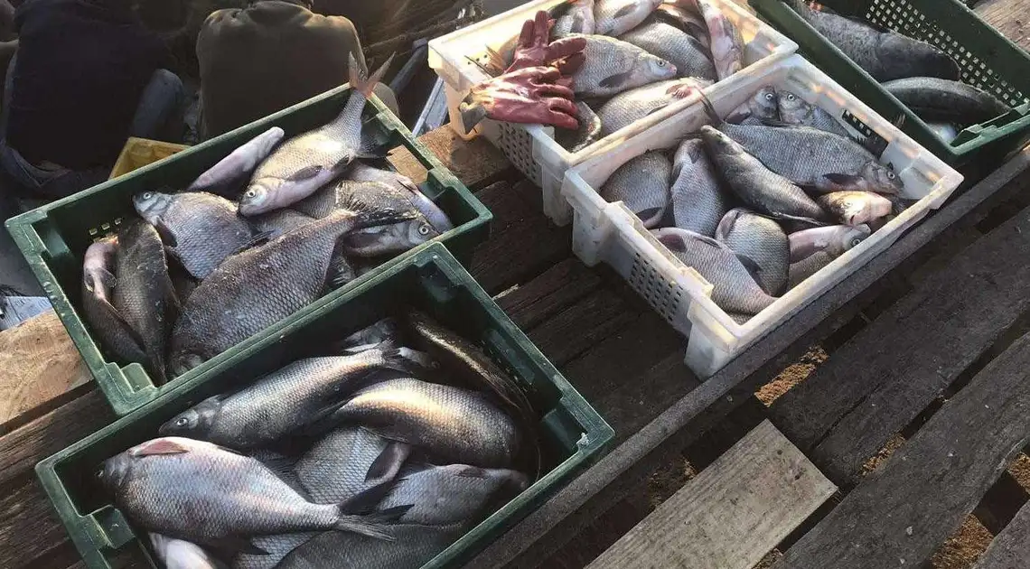 На Кіровоградщині викрили трьох браконьєрів, які виловили понад 300 кг риби (ФОТО) фото 1