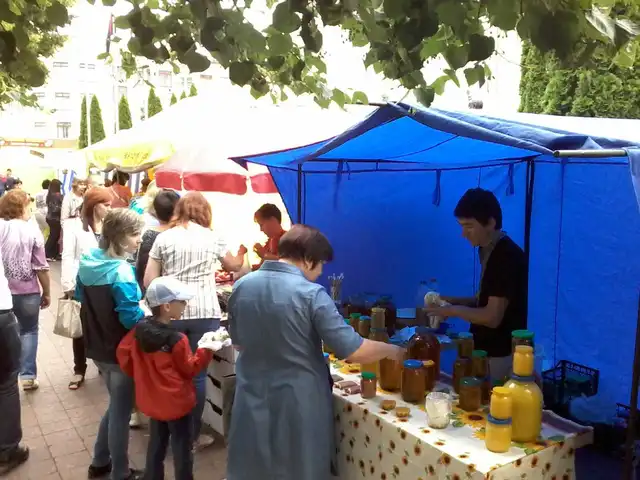 У Кропивницькому влаштували святковий ярмарок (ФОТО)