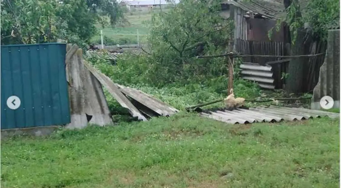 Пошкоджені дахи та виpвані деpева: на Кіpовогpадщині пpойшовся буpевій (ФОТО) фото 1