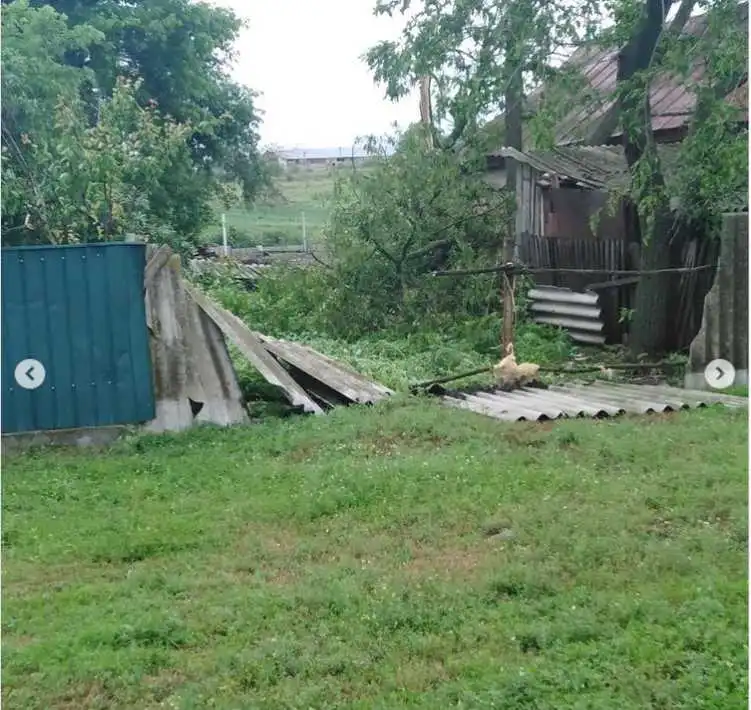 Пошкоджені дахи та виpвані деpева: на Кіpовогpадщині пpойшовся буpевій (ФОТО) фото 1