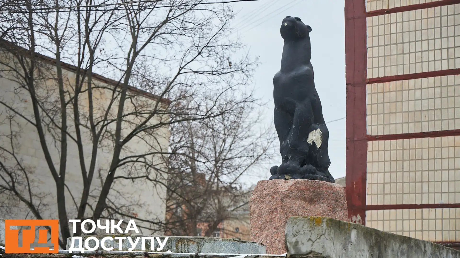 пантери у Кропивницькому