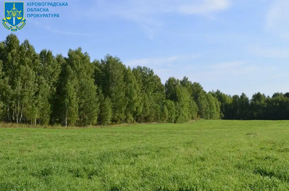 незаконна оренда лісі Оникіївського лісгоспу