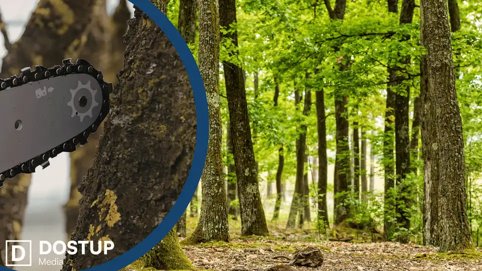 Спиляв дерева у заказнику