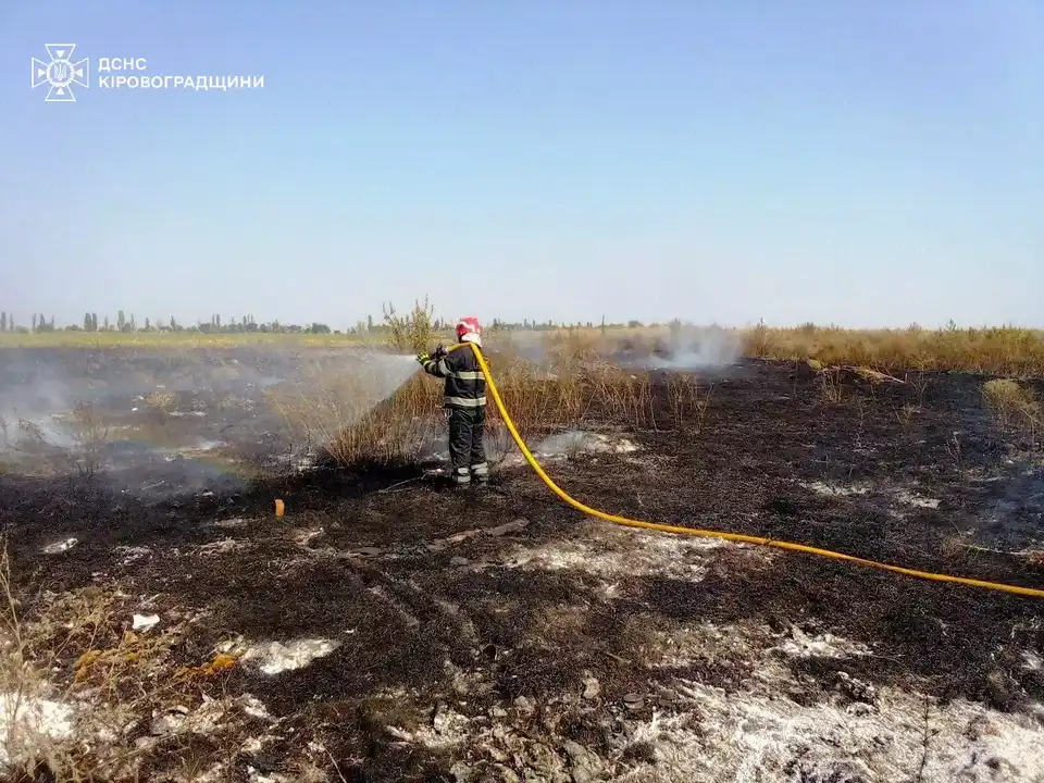 пожежа сухої трави