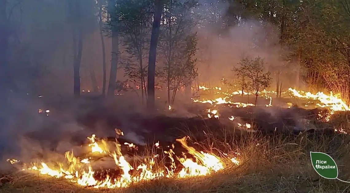 горів ліс у Кіровоградській області через обстріл росіян