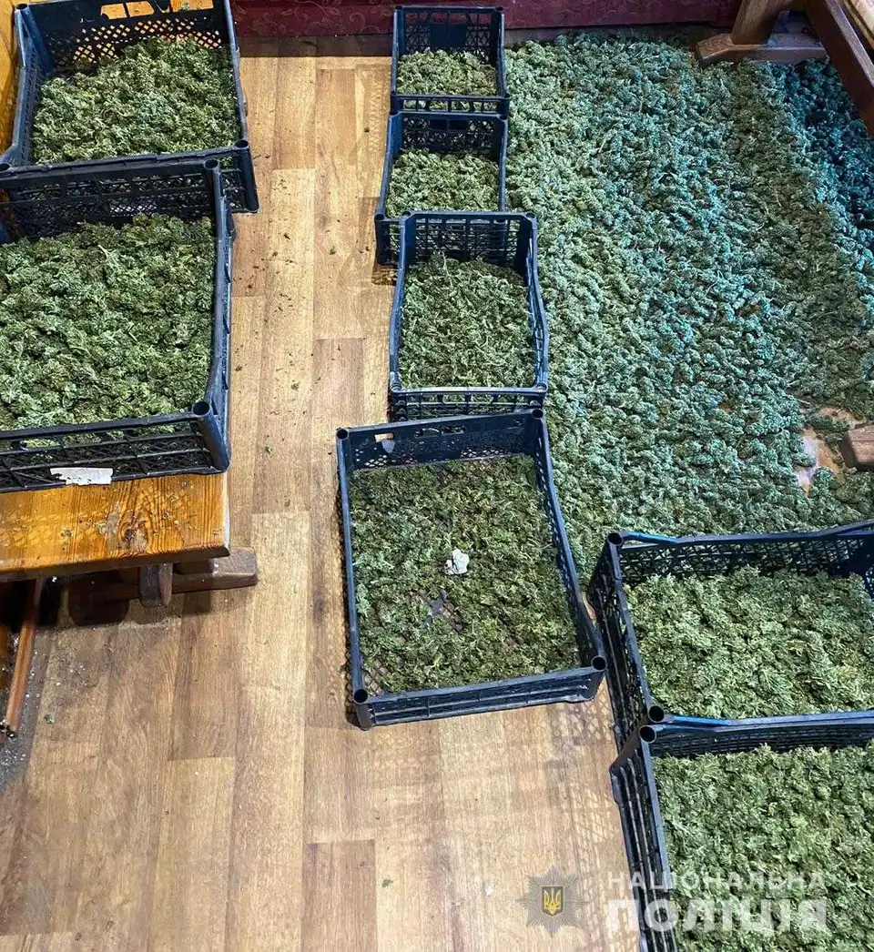 У Кропивницькому викрили наркопритон (ФОТО)