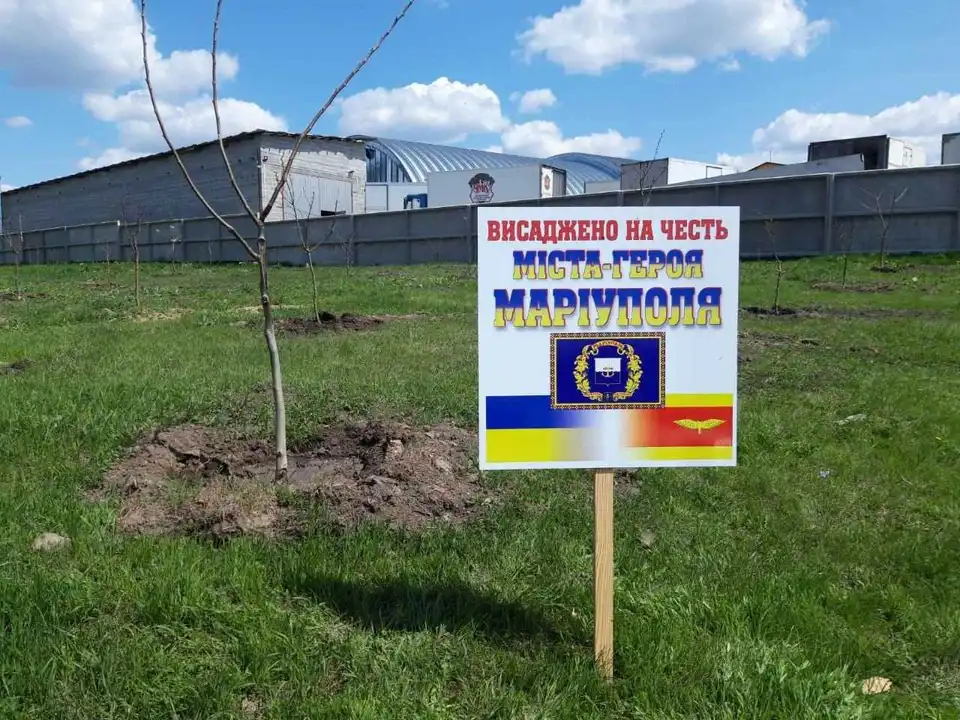 У Соколівській громаді висадили алею дерев на честь десяти міст-героїв України (ФОТО) фото 1