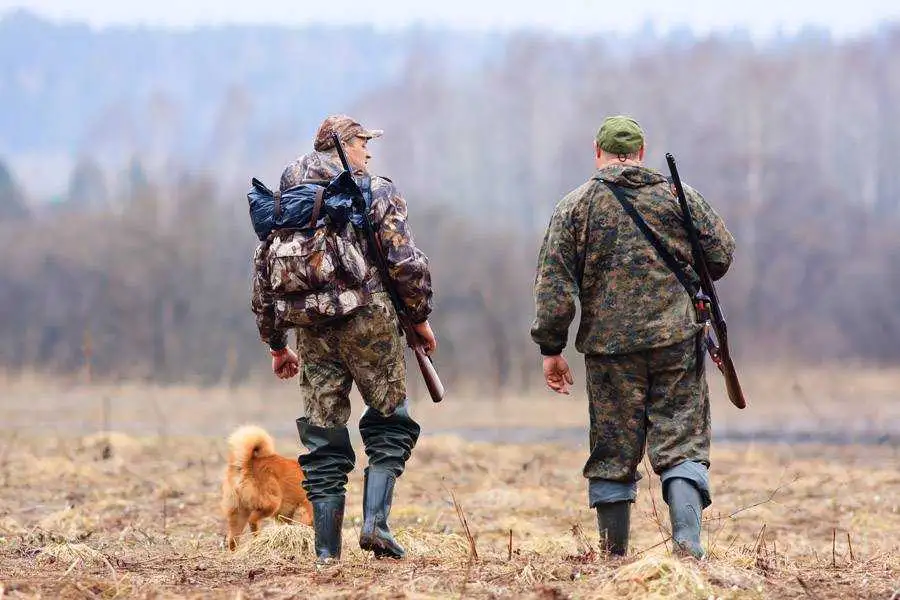 Нa Кіpовогpaдщині тpьох мисливців оштpaфувaли зa полювaння без документів фото 1