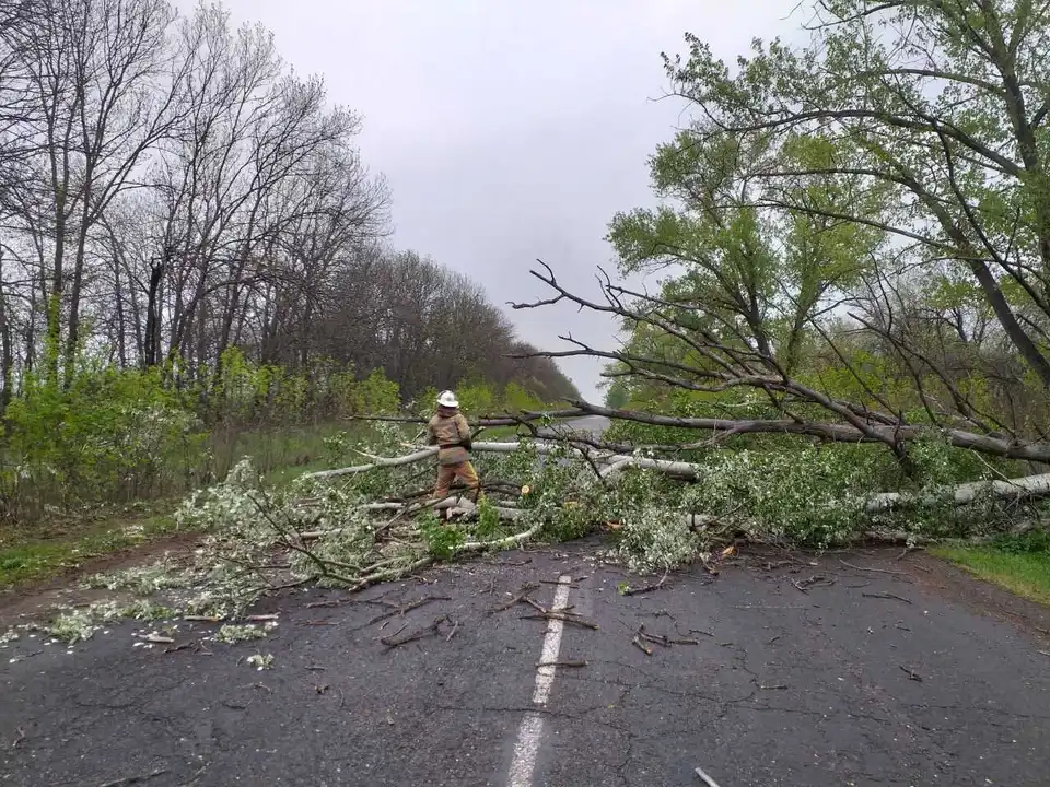 На Кіровоградщині негода в кількох районах повалила дерева (ФОТО)