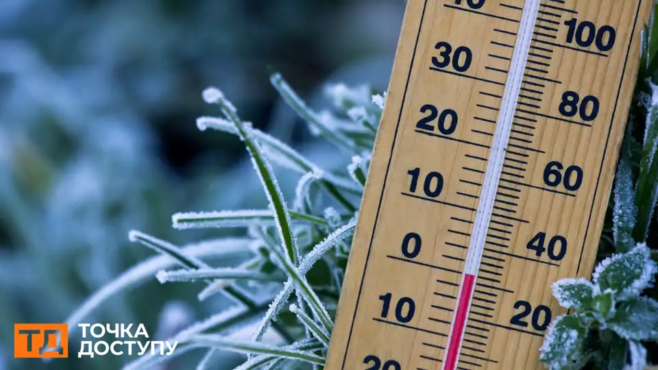 Туман, ожеледь і мороз прогнозують у Кропивницькому та області 22 грудня