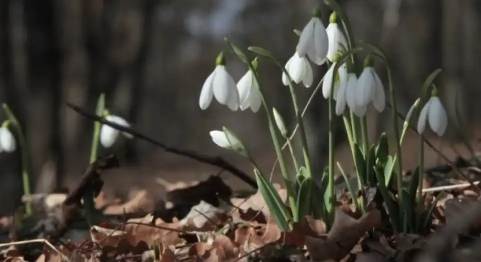 Дощ у Кропивницькому