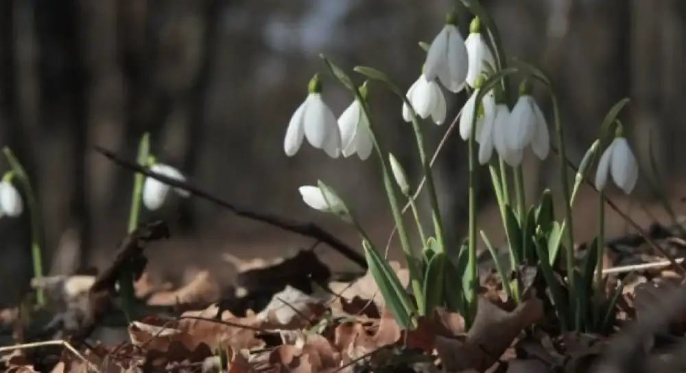 Дощ у Кропивницькому
