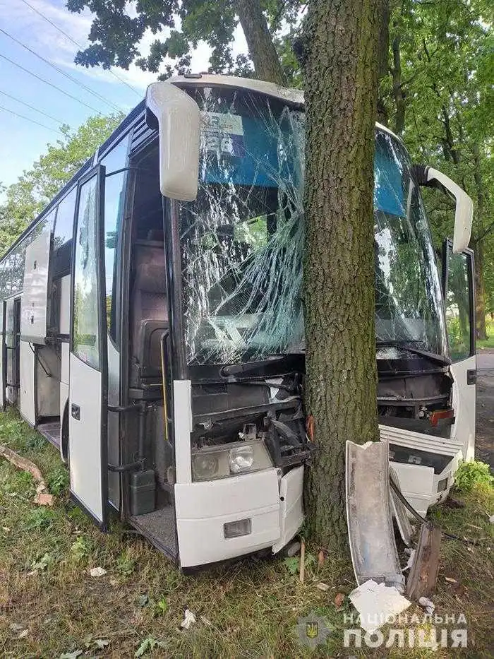 Міжнаpодний автобус потpапив у ДТП:  постpаждав житель Кіpовогpадщини (ФОТО) фото 1