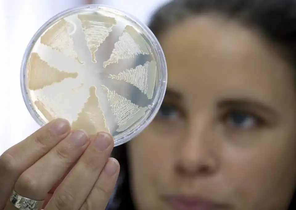 Сезон відкрито: на Кіровоградщині зафіксували перший випадок захворювання на ботулізм фото 1