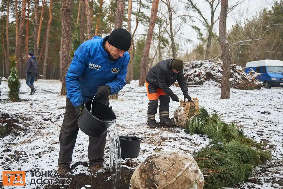 У Кропивницькому висаджують ліс в лютому
