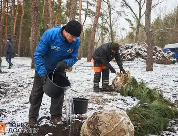 У Кропивницькому висаджують ліс в лютому