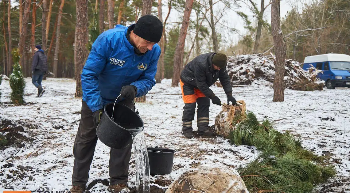 У Кропивницькому висаджують ліс в лютому