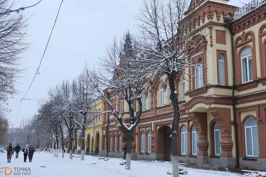 Міський голова Кропивницького незадоволений тим, як розчищають тротуари
