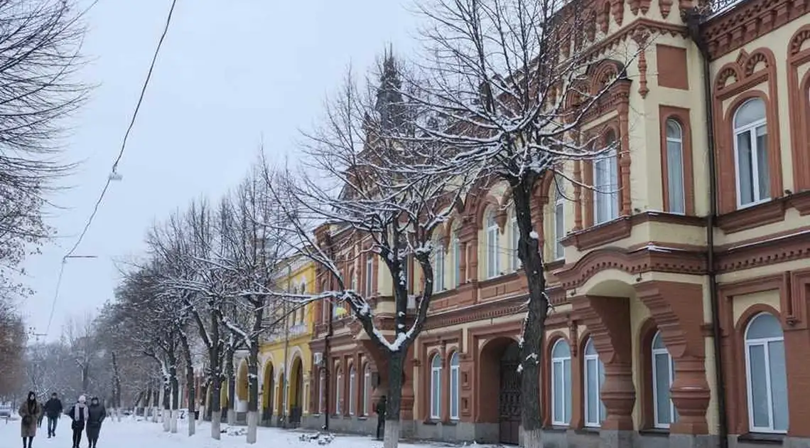 Міський голова Кропивницького незадоволений тим, як розчищають тротуари фото 1