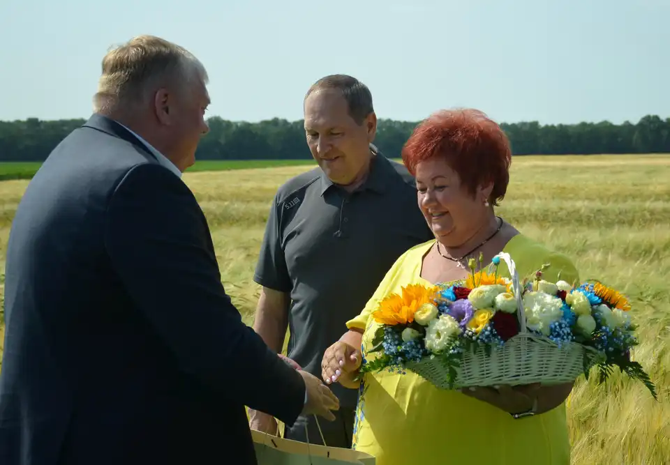 День поля