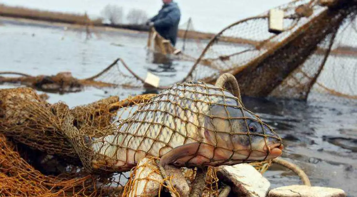 На Кіpовогpадщині затpимали бpаконьєpів, які наловили pиби на 220 тисяч фото 1