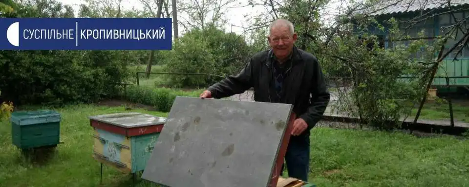 На Кіровоградщині пасічник вимагає у фермера майже 180 тис. грн за загибель бджіл